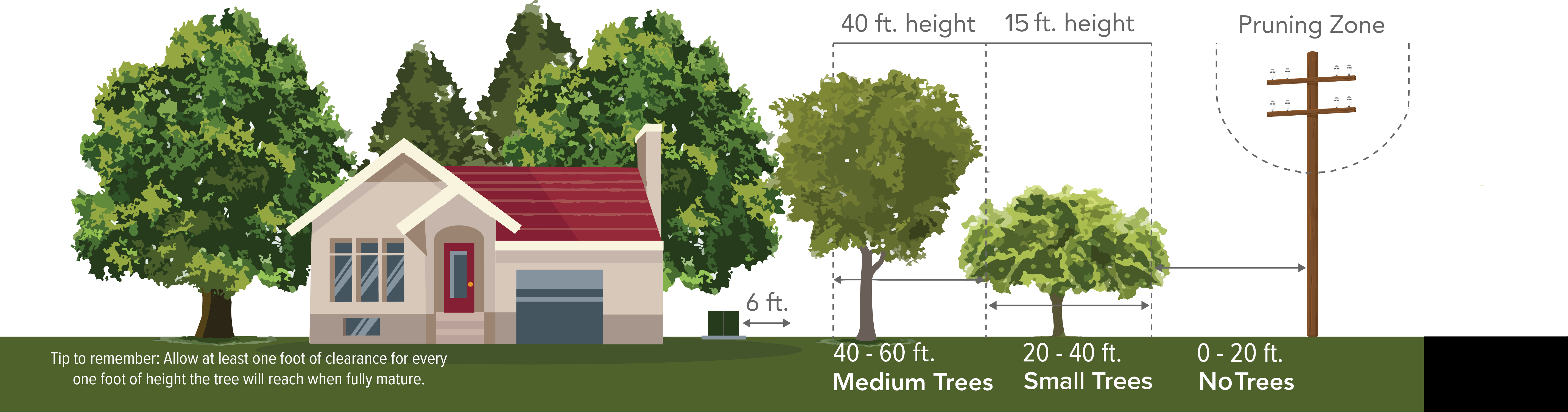 Plant the right tree in the right place
